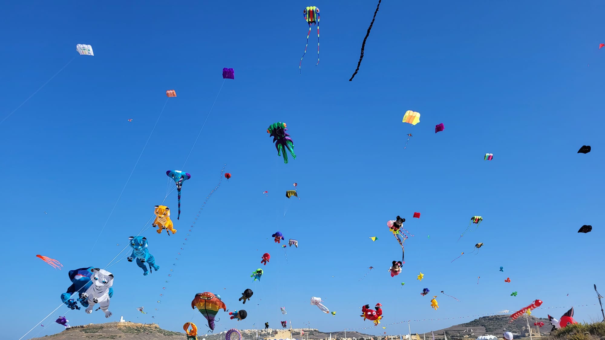 Colourful kites filling the sky during the Gozo International Kite Festival.